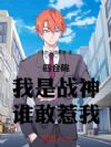 四合院:我是战神,谁敢惹我