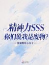 ������SSS������˵���Ƿ��