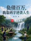 负债百万,我靠码字逆袭人生