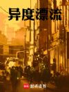异度漂流