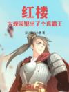 红楼:大观园里出了个真霸王