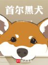 首尔黑犬