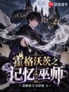 霍格沃茨之记忆巫师