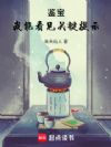 鉴宝:我能看见关键提示