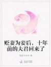 贬妻为妾后,侯爷绿了他自己