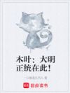 木叶:大明正统在此!