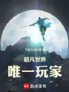 超凡世界唯一玩家