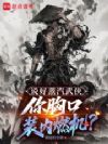 ˵���������������ؿ�װ��ȼ����