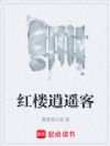 红楼逍遥客
