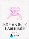 小药引娇又软,五个大佬全球通缉