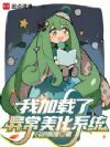 我加载了异常美化系统