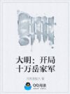 大明:开局十万岳家军